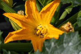 2026_06-8_original