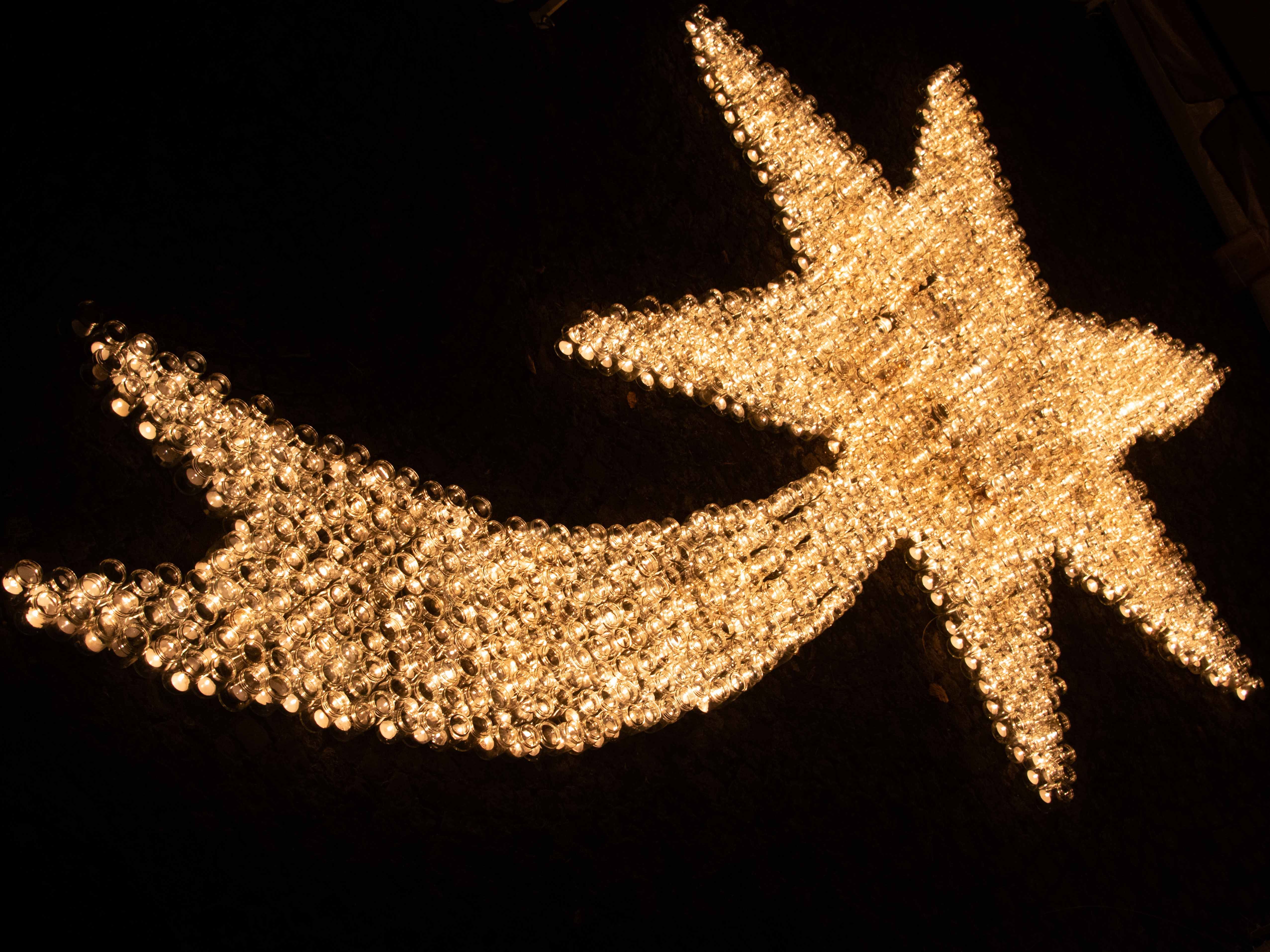 Der Stern im Klostergarten